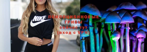 эйфоретик Абинск