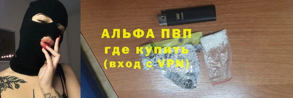 PSILOCYBIN Каменногорск