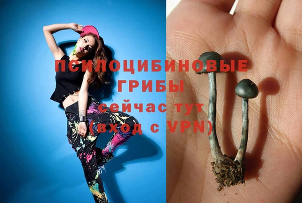 герыч Абаза