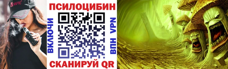 мориарти как зайти  как найти закладки  Благовещенск  Псилоцибиновые грибы Cubensis  KRAKEN tor 