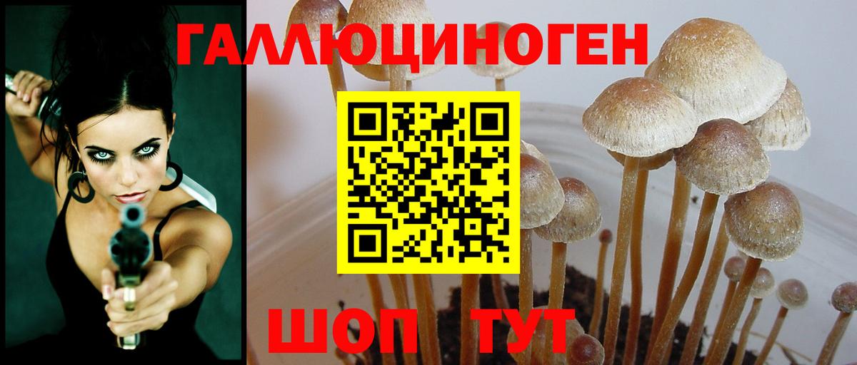 Благовещенск  Галлюциногенные грибы Psilocybine cubensis  Псилоцибиновые грибы Magic Shrooms  Вход с VPN 
